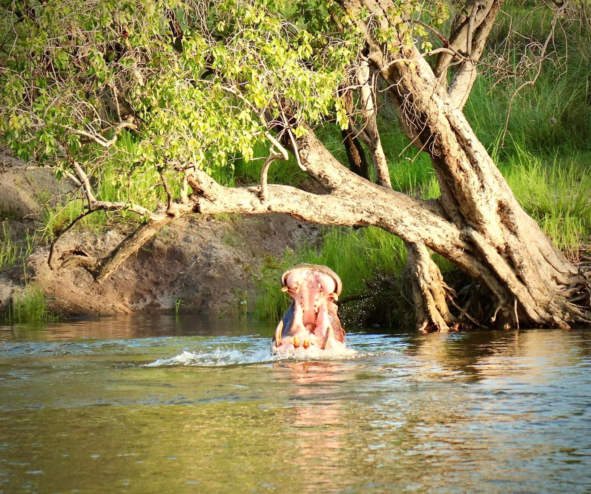 Zambezi Dusk Villa Livingstone Ngoại thất bức ảnh